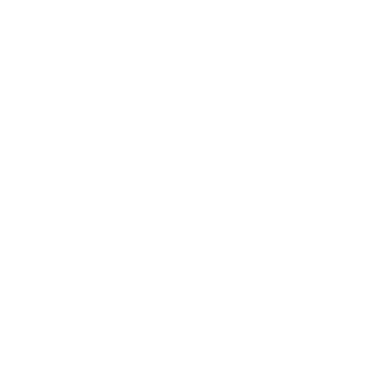 X icon